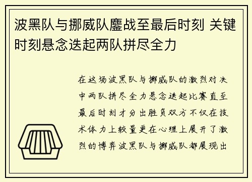 波黑队与挪威队鏖战至最后时刻 关键时刻悬念迭起两队拼尽全力