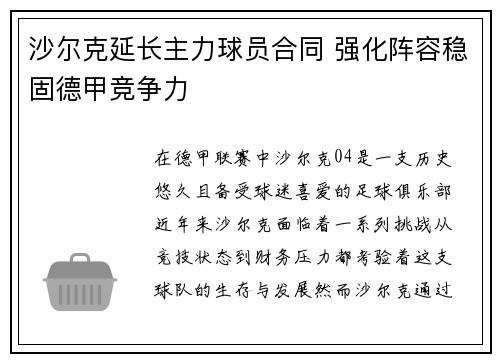 沙尔克延长主力球员合同 强化阵容稳固德甲竞争力